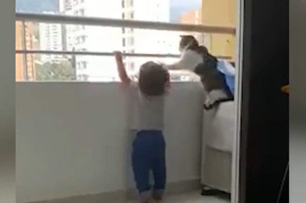 Video viral. O pisică, „înger păzitor“ pentru un bebeluș. Momentul în care îl îndepărtează pe micuț de balustrada unui balcon