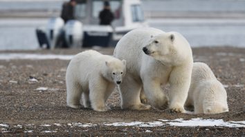 Înainte de plecare, Trump a semnat decizia de a dezvolta petrolul în Alaska. Zona a fost protejată în trecut