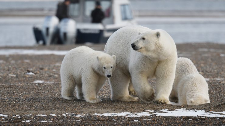 Înainte de plecare, Trump a semnat decizia de a dezvolta petrolul în Alaska. Zona a fost protejată în trecut