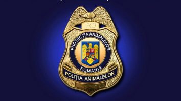 Bătaie pe posturile la Poliția Animalelor. 4.300 de oameni înscriși și doar 264 de poziții disponibile. Care sunt motivele