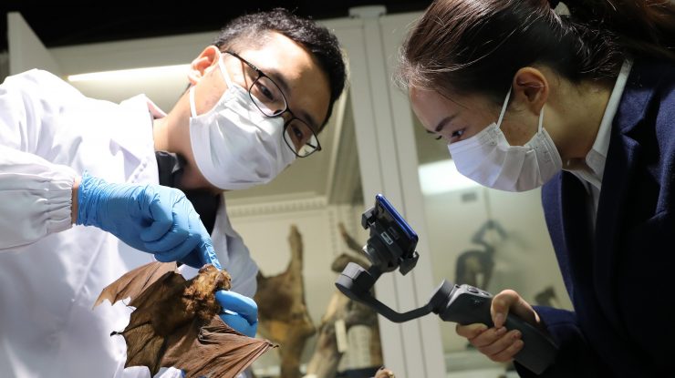 Care ar putea fi următoarea pandemie? Amenințarea vine tot din Asia: virusul Nipah, cu o rată a mortalității de până la 75%