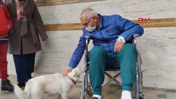 O cățelușă și-a așteptat stăpânul zile întregi în fața unui spital. VIDEO și FOTO