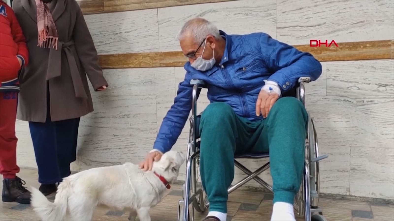 O cățelușă și-a așteptat stăpânul zile întregi în fața unui spital. VIDEO și FOTO