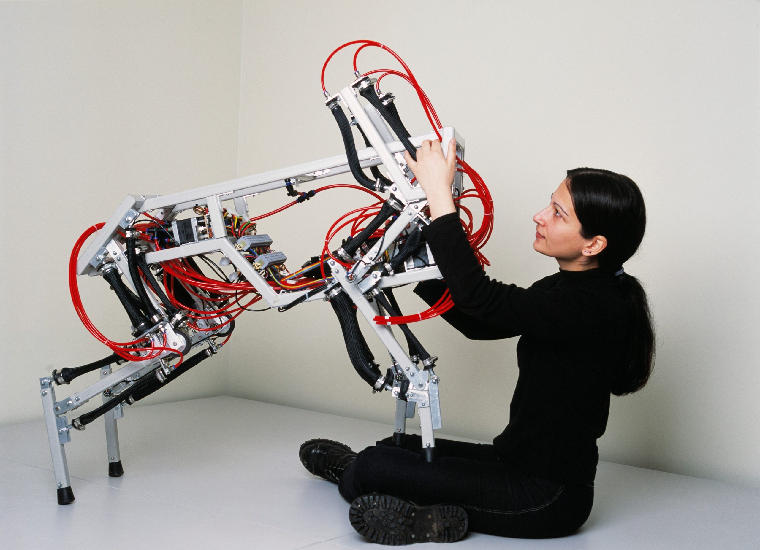 Câinele robot învață singur. „Este o nouă bornă atinsă în robotică”