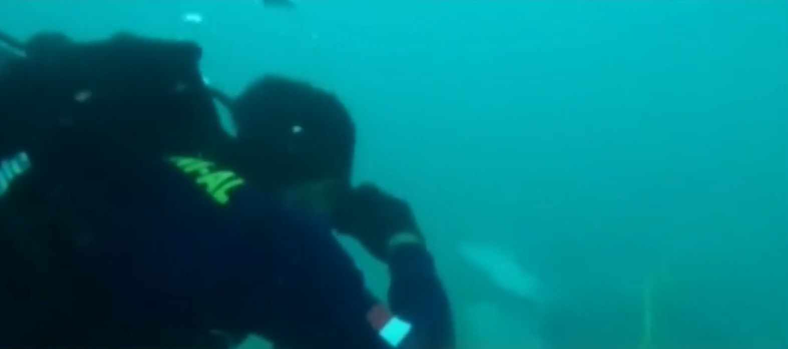 Căutările continuă în Indonezia. Scafandrii încearcă să recupereze cutiile negre ale zborului Sriwijaya Air