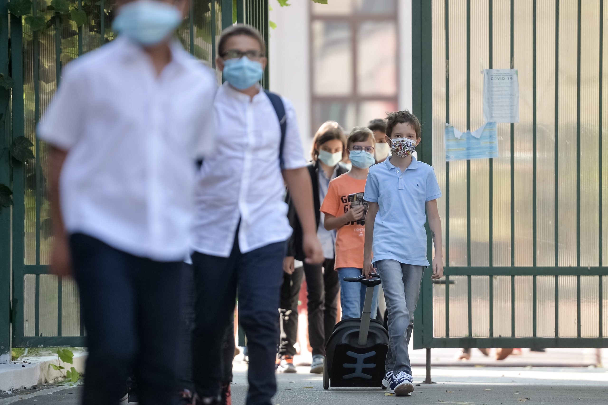 Elevii din Sectoarele 1 și 4 nu au primit bursele sociale sau de merit. „Mai mult de jumătate din județul Ilfov nu acordă burse”