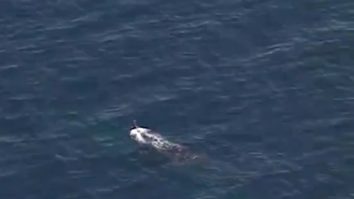 Iranul a depistat un submarin militar în Golful Oman. „Este vorba de un submarin al SUA”