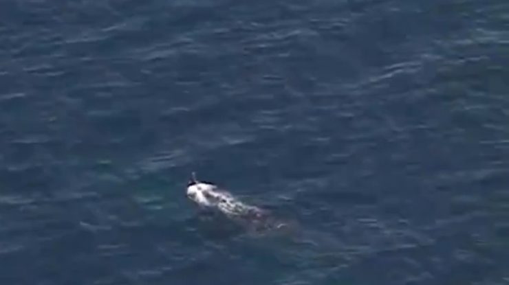 Iranul a depistat un submarin militar în Golful Oman. „Este vorba de un submarin al SUA”