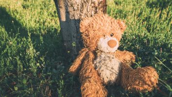 Ursuleții de pluș, singura alinare a unor copii sărmani din Ungaria. Valeria Schmidt a intrat în Cartea Recordurilor pentru cea mai mare colecție din lume