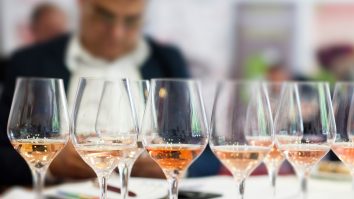 Campania de vaccinare este speranța de revenire a multor afaceri. Ce planuri și-au făcut producătorii de vinuri pentru 2021