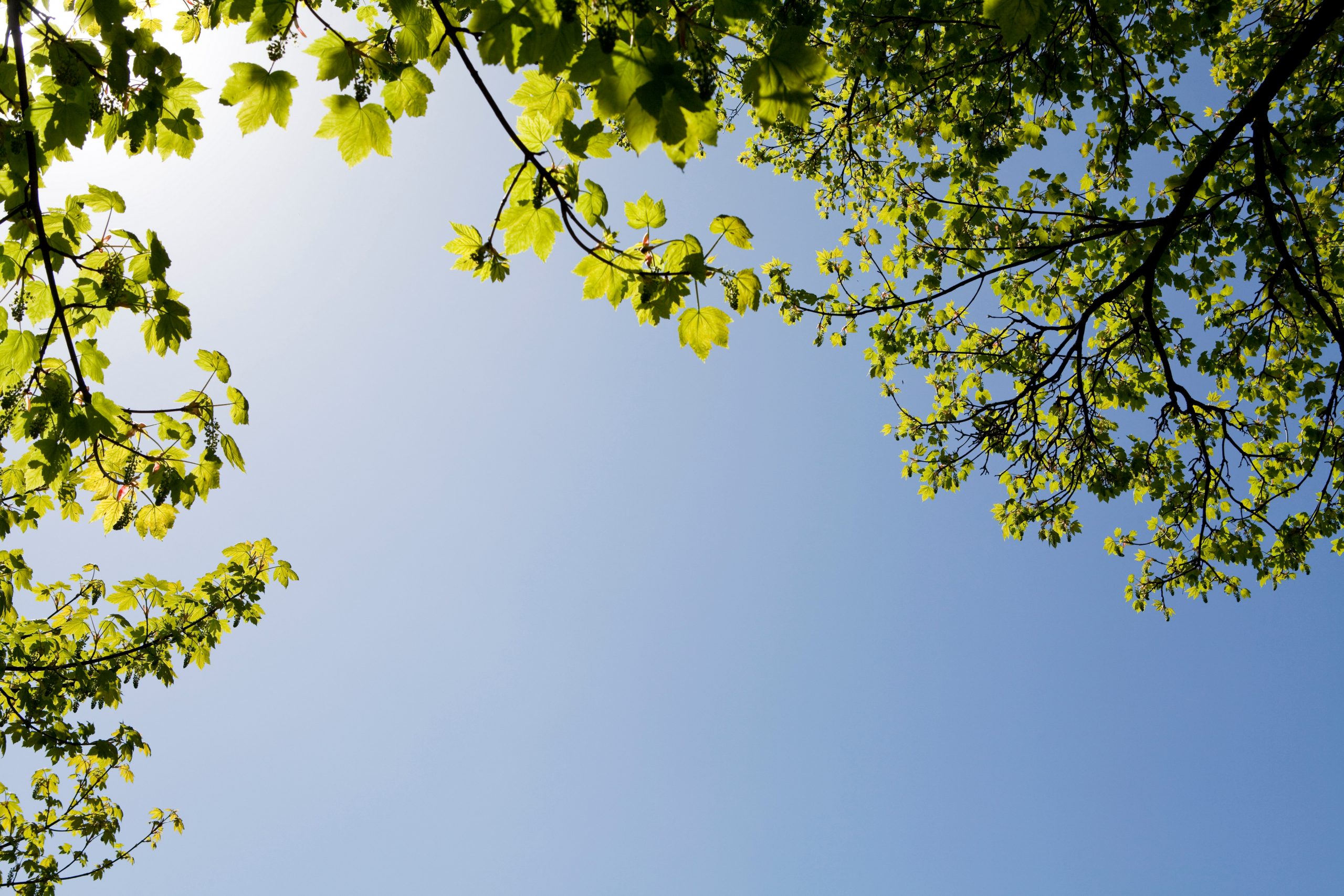 Meteo, 22 ianuarie. Vreme deosebit de caldă în cea mai mare parte a țării. În București vor fi 11 grade Celsius