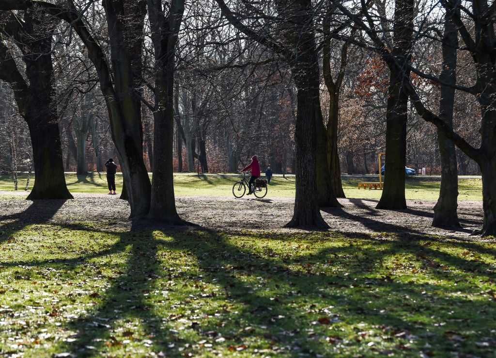 Oameni care se plimbă cu bicicleta în parc.