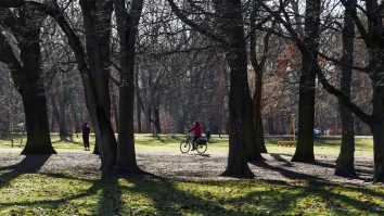 Oameni care se plimbă cu bicicleta în parc.