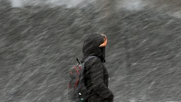 Cod galben de viscol