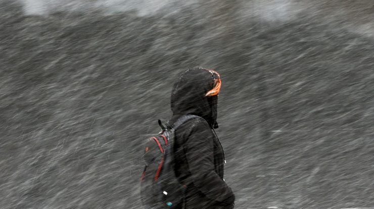 Cod galben de viscol