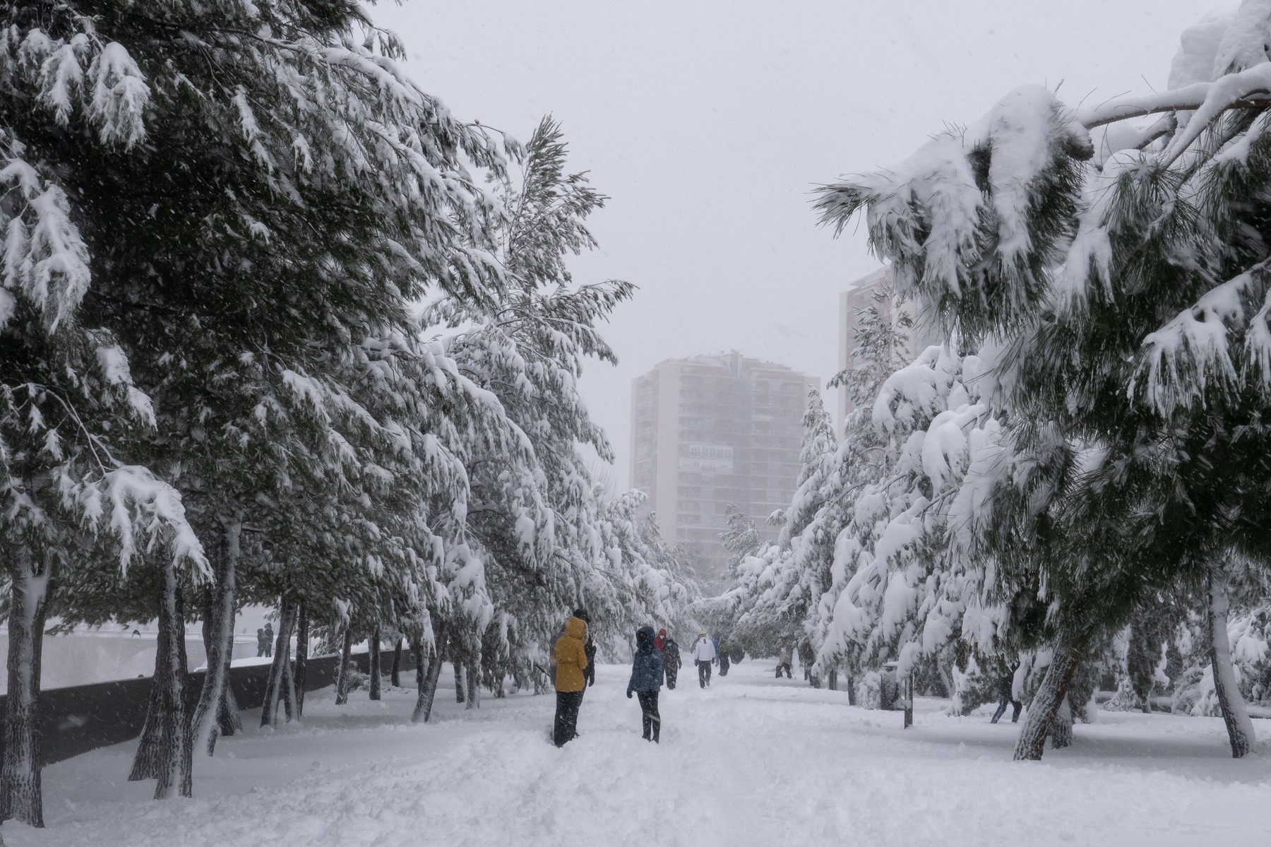 Situaţie dramatică în Spania. Transporturi cu vaccin anti-Covid şi mâncare sunt trimise în zonele afectate de furtuna de zăpadă