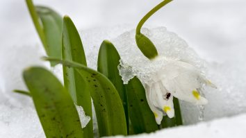 Cum va fi vremea în luna martie. Meteorologii au făcut estimări pentru următoarele 4 săptămâni