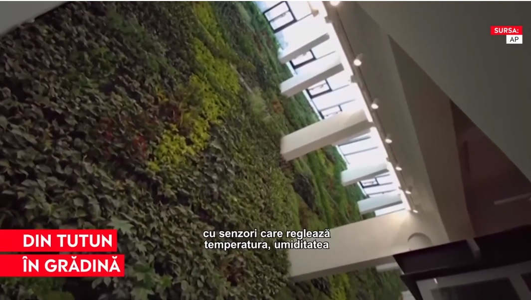 O echipă de arhitecţi spanioli au transformat o fabrică de tutun în cea mai mare grădină verticală indoor din Europa