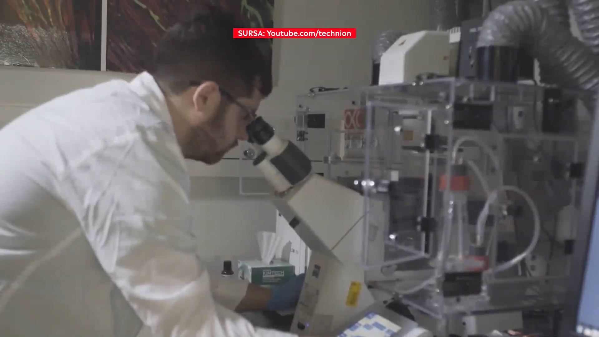 Cercetătorii din Israel au creat un antricot prin bioprintare 3D. Metoda prin care şi vegetarienii pot să mănânce carne