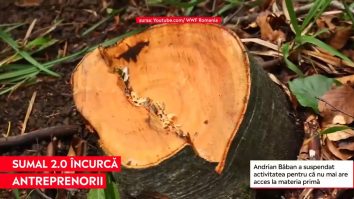 După zece zile de la lansare, SUMAL 2.0 pune pe butuci antreprenorii care vor să respecte legislaţia