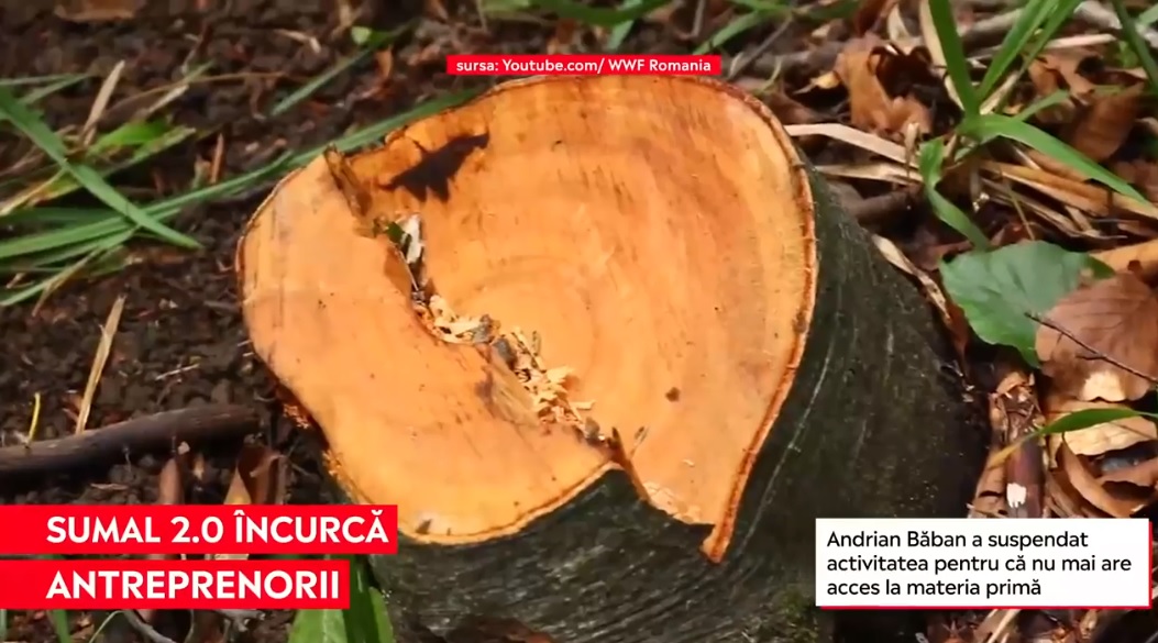 După zece zile de la lansare, SUMAL 2.0 pune pe butuci antreprenorii care vor să respecte legislaţia