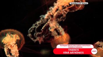 „Tinerețe fără bătrânețe”. Omul care va trăi 1.000 de ani nu e glumă și nici măcar cod pentru opera SF