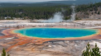 Parcul-Național-Yellowstone