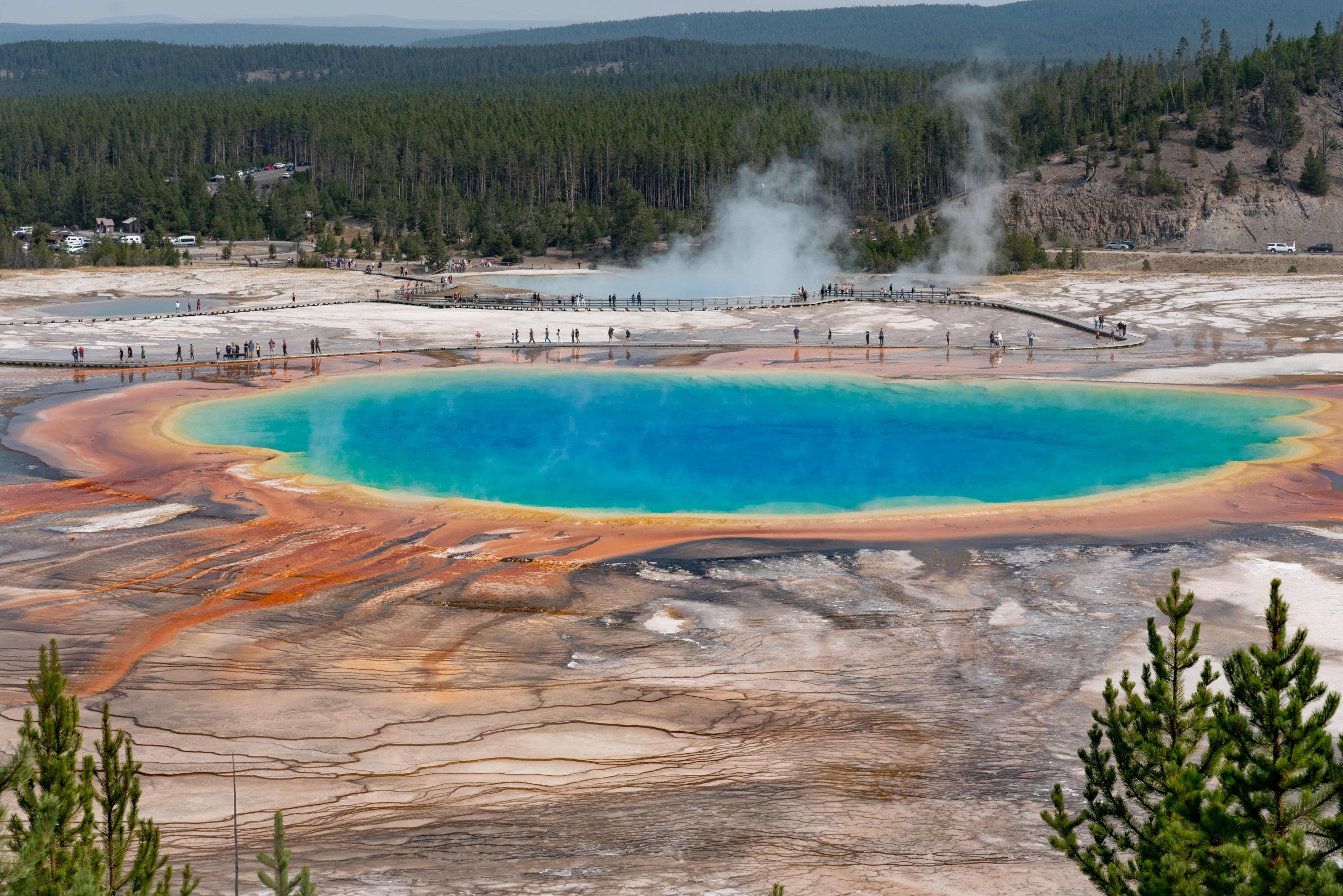 Testele PCR pentru depistarea COVID-19 nu ar exista fără o descoperire din 1966. Ce este polimeraza Taq