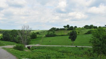 Comuna cu cei mai mulți șomeri din România. Motivul incredibil pentru care locuitorii spun că nu se angajează