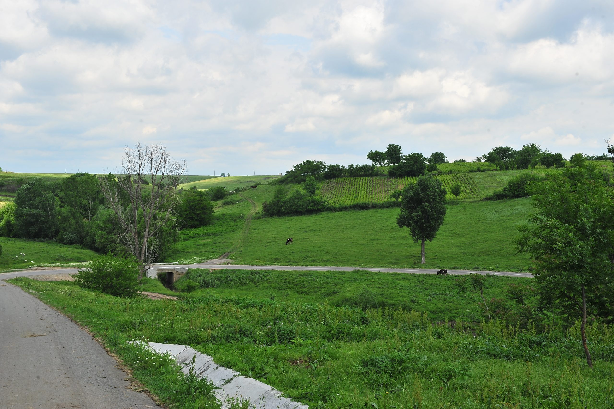 Comuna cu cei mai mulți șomeri din România. Motivul incredibil pentru care locuitorii spun că nu se angajează