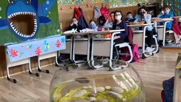 Nici școala nu mai e ce-a fost. Învățătoare: „Folosirea exclusivă a metodelor tradiționale ale educației formale nu mai este indicată”