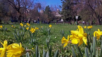 Prognoza meteo ANM pentru următoarea lună. Vremea se încălzește în aprilie