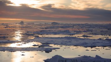 Au fost descoperite urme de viață sub gheața din Antarctica. Ce au găsit cercetătorii