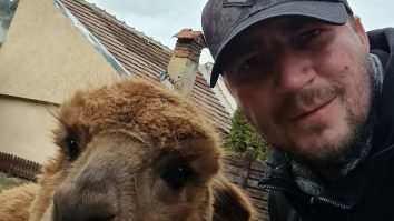 Marian Godină, reacție după ce Diana Șoșoacă a distribuit un mesaj fals în care Donald Trump îi lua apărarea