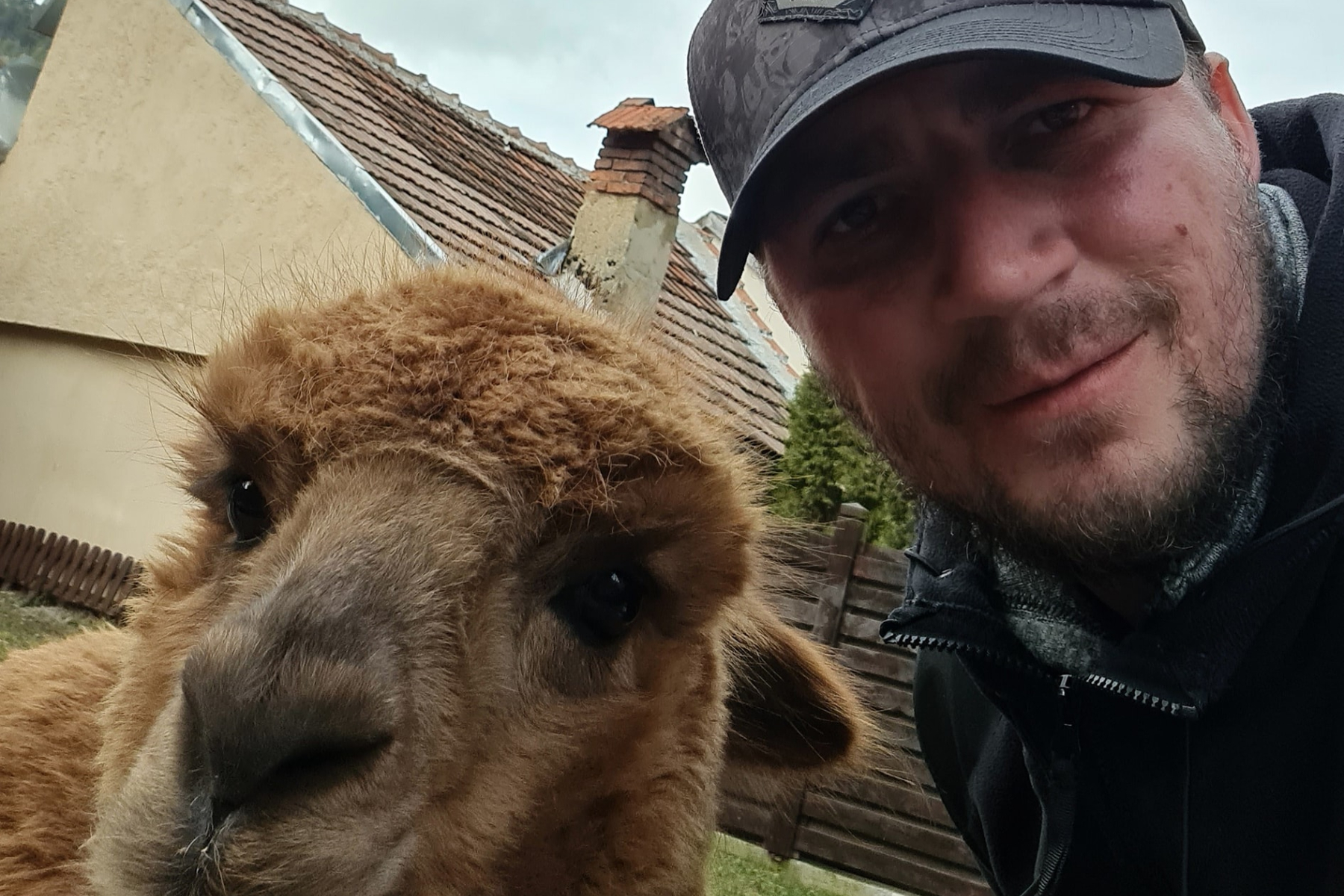 Marian Godină, reacție după ce Diana Șoșoacă a distribuit un mesaj fals în care Donald Trump îi lua apărarea