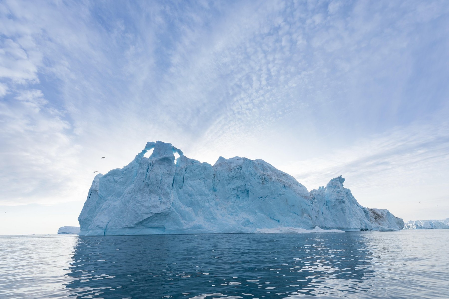 Un iceberg uriaș, aproape cât suprafața Londrei, s-a desprins din Antarctica
