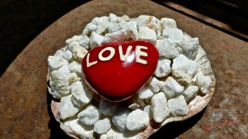 Mesajele instituțiilor statului de Valentine’s Day: „Astăzi, eroii nu poartă pelerină”