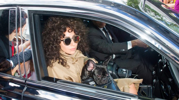 lady-gaga-caine