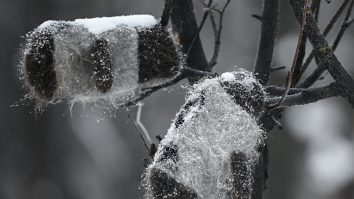 Meteo în România, 11 februarie 2021. Vremea va intra într-un proces de răcire accentuată ce va cuprinde întreaga țară