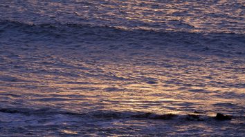 Un bărbat a supraviețuit 14 ore în Oceanul Pacific ținându-se de „gunoaie”