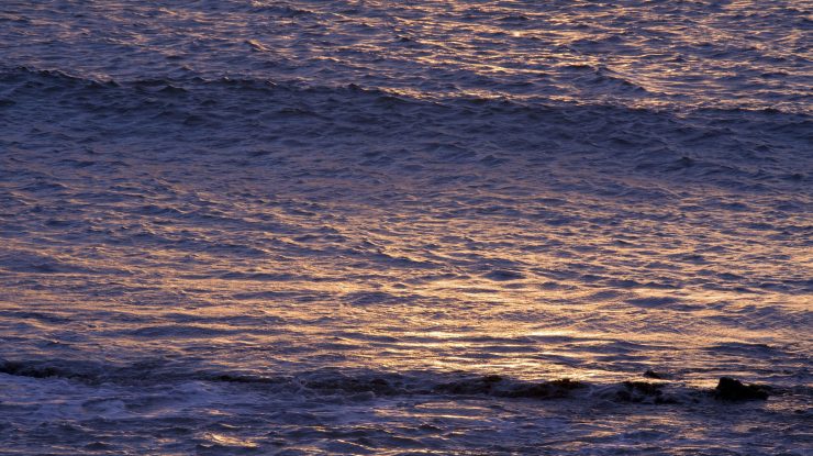 Un bărbat a supraviețuit 14 ore în Oceanul Pacific ținându-se de „gunoaie”