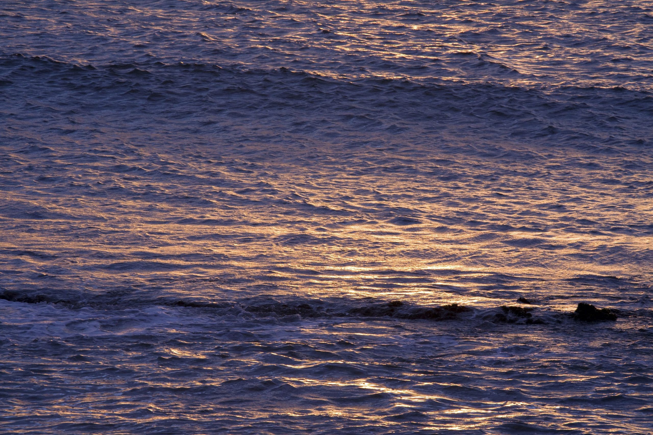 Un bărbat a supraviețuit 14 ore în Oceanul Pacific ținându-se de „gunoaie”