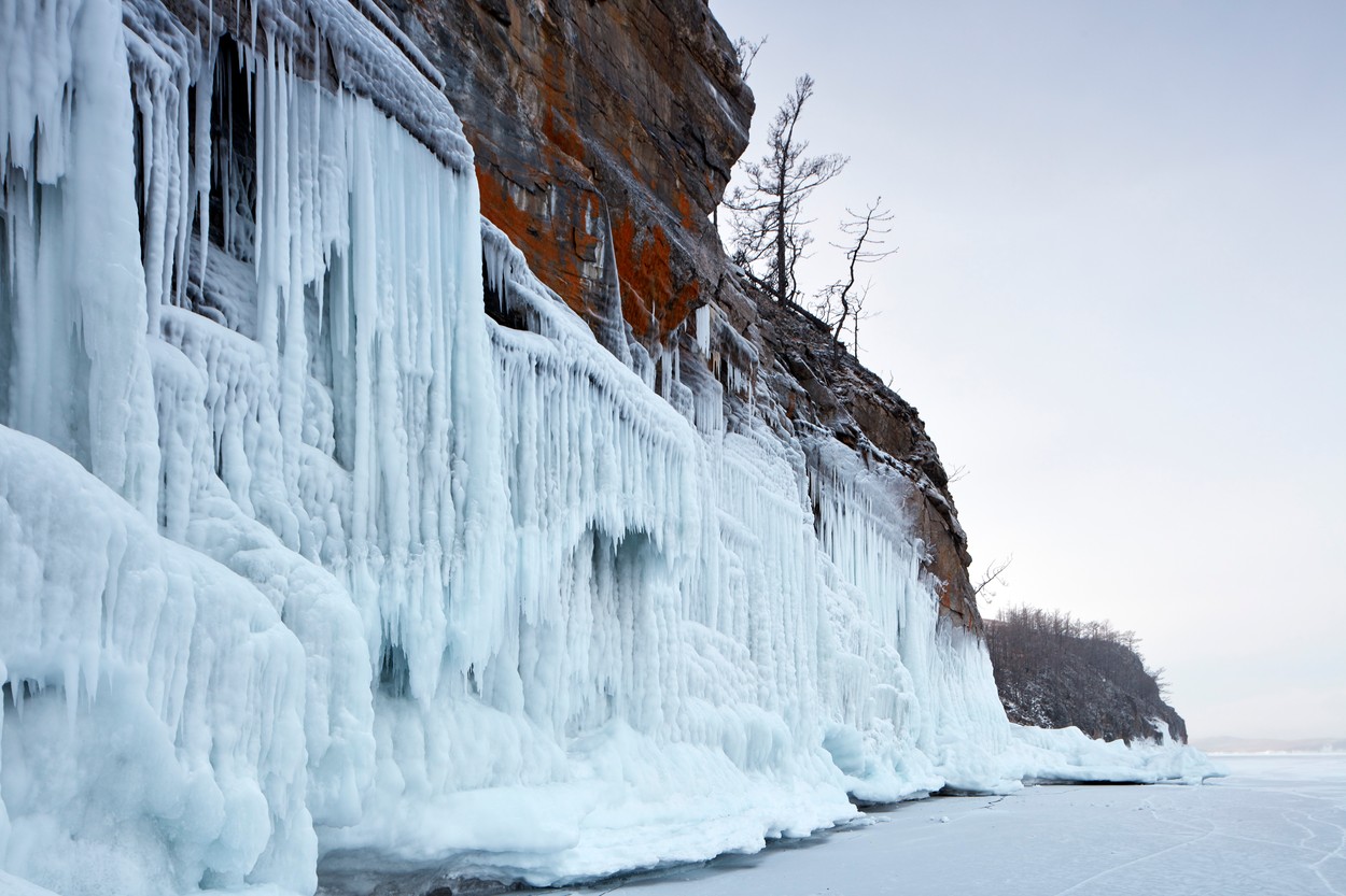 Un fost centru rus pentru dezvoltarea armelor biologice se lansează în cercetarea virusurilor preistorice