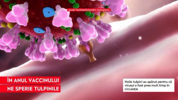 Tulpinele de coronavirus amplifică teama experților. Simona Ruță: „Se presupune că au apărut la persoane imunosupresate”