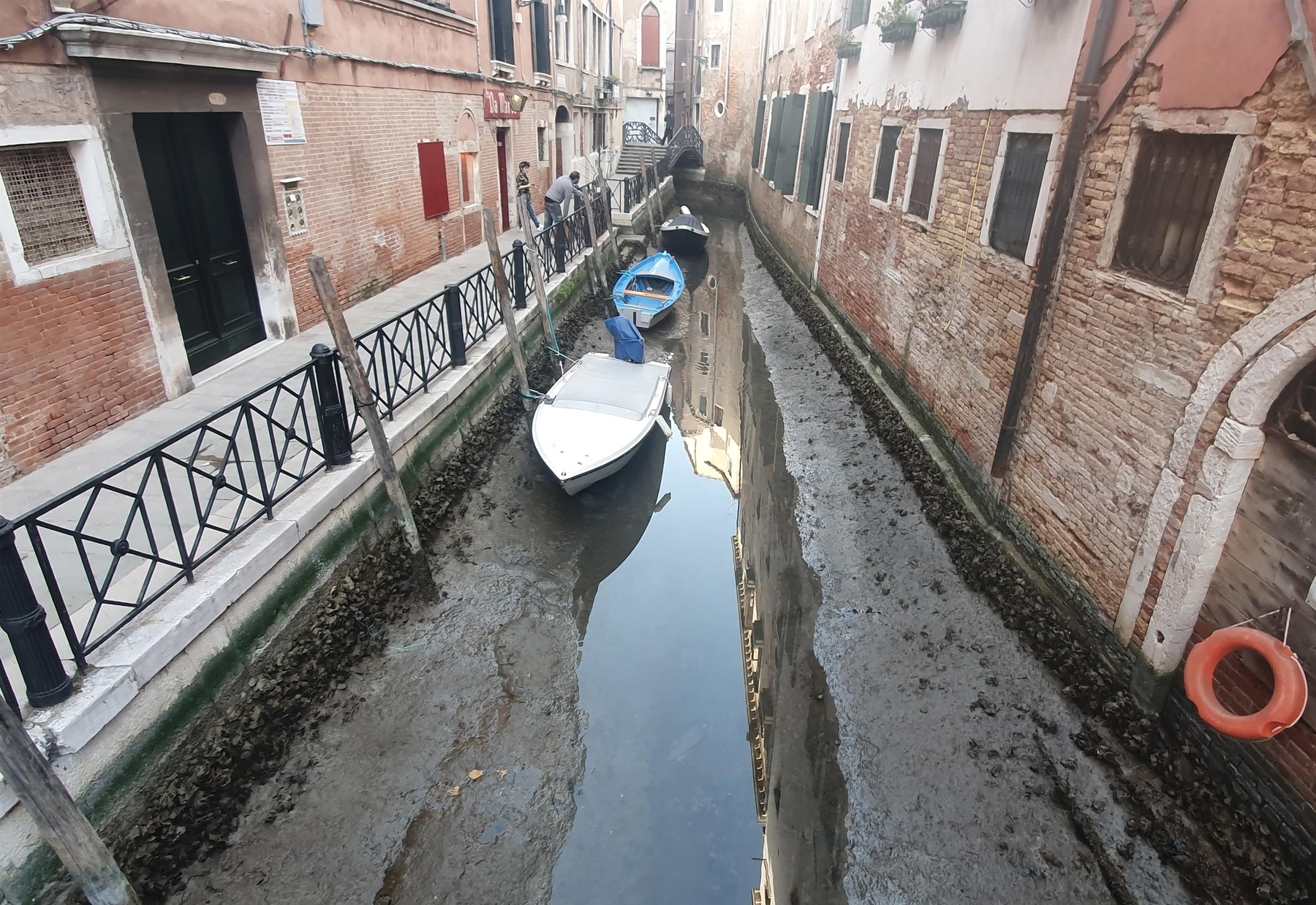 Navele de croazieră, interzise în portul principal din Veneția. Motivația autorităților