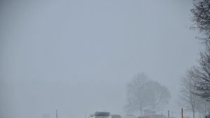 Avertizare ANM: Cod portocaliu de vânt în cinci județe din România. Intră în vigoare de la ora 12:00