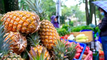China interzice ananașii taiwanezi din motive de „biosecuritate”: „Nu respectă regulile comerciale internaționale”
