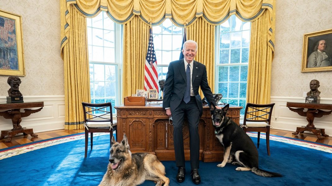 biden-caini