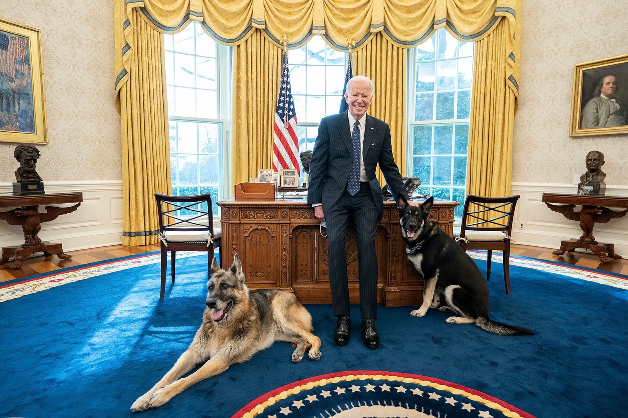 Major, câinele lui Joe Biden devenit oficial „Primul Câine al țării”, mutat de urgență de la Casa Albă, după ce a mușcat un membru al echipei de securitate