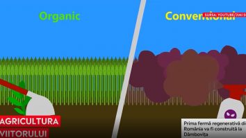 Prima fermă regenerativă din România va fi construită la Dâmbovița. Stagii de practică pentru noua agricultură